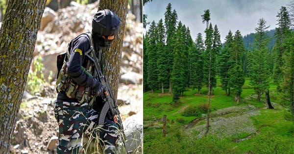 पहलगाम हमले के आतंकी कश्मीर के जंगलों में छिपे, इंटेलिजेंस एजेंसी के मुताबिक- उनके पास खाना और अन्य जरूरी सामान उपलब्ध
