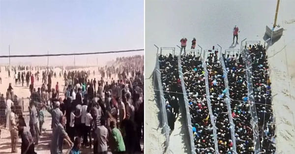 गाजा के राफा में खाने के लिए मची भगदड़; 3 की मौत, 46 घायल और 7 लापता, इजराइली फायरिंग के बाद फैली अफरा-तफरी