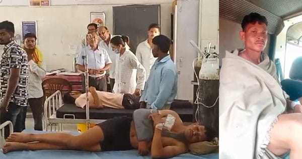 मढ़ाई में बाघ का हमला, सतपुड़ा टाइगर रिजर्व में ड्यूटी दे रहे चौकीदार पर जानलेवा हमला