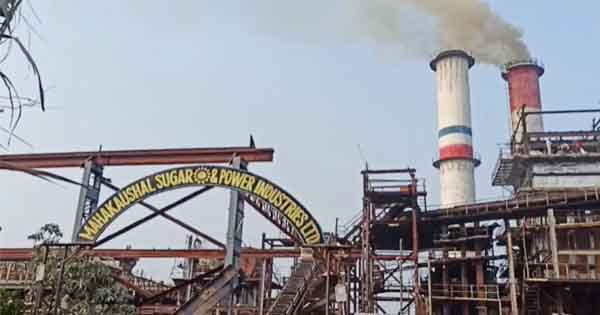 नरसिंहपुर में महाकौशल शुगर मिल पर आईटी की रेड, राजधानी के ठिकानों पर भी चल रही कार्रवाई