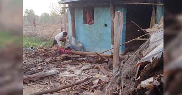 शहडोल में हाथियों का उत्पात जारी : जयसिंहनगर फॉरेस्ट रेंज के गांवों में घुसा दल, आधा दर्जन कच्चे मकानों को तोड़ा