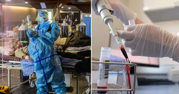 MP Corona Update : 24 घंटे में सामने आए चौंकाने वाले मामले, 170 से ज्यादा कोरोना संक्रमित मिले; एक्टिव केस 900 के पार