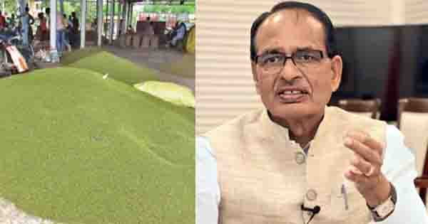 CM शिवराज का ऐलान : MP में समर्थन मूल्य पर मूंग खरीदेगी सरकार, 18 जुलाई से शुरू होंगे रजिस्ट्रेशन