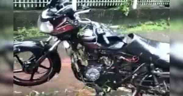 भोपाल में तेज बारिश का कहर… बाइक सवार युवक पर गिरा पेड़, मौत