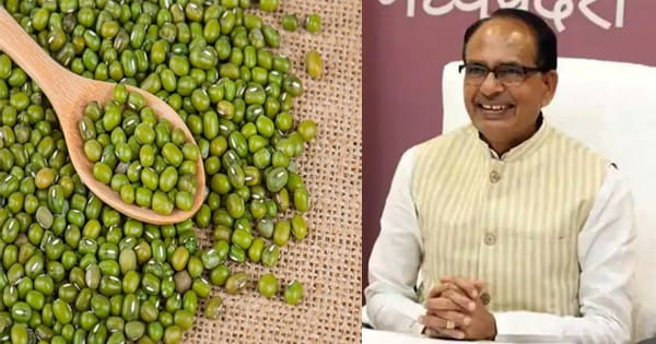 समर्थन मूल्य पर मूंग खरीदी के रजिस्ट्रेशन की बढ़ाई तारीख, जानें किस तारीख तक करा सकेंगे पंजीयन