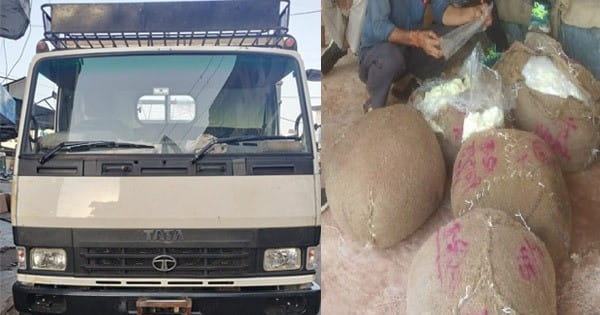4 लाख 75 हजार का 21 क्विंटल मावा जब्त, नकली होने का संदेह, खाद्य विभाग ने लिए सैंपल, ग्वालियर से भेजा गया था भोपाल 