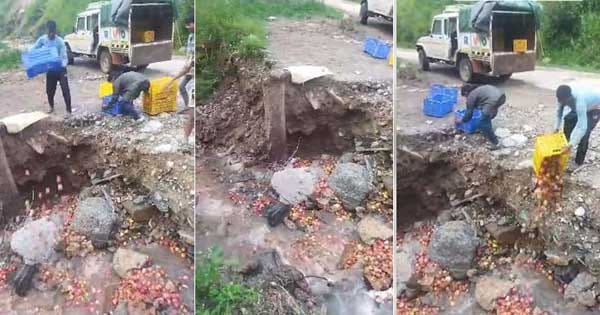 हिमाचल में सड़कें बंद होने के कारण नाले में सेब बहाने को मजबूर किसान, देखें VIDEO
