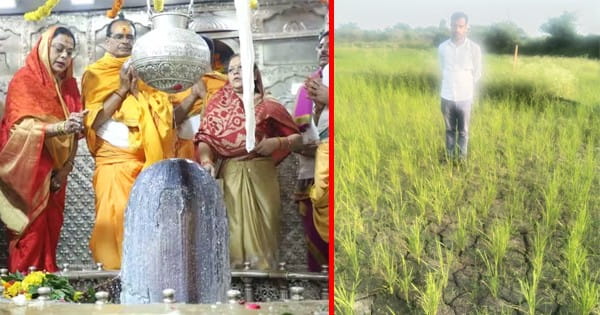 MP में मानसून की बेरुखी : किसान परेशान... CM शिवराज ने बुलाई बड़ी बैठक; वर्षा के लिए कल महाकाल मंदिर में करेंगे विशेष पूजा-अर्चना