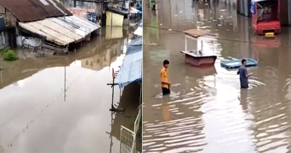 गुजरात : खतरे के निशान के ऊपर बह रही नर्मदा नदी, जलस्तर बढ़ा; मुंबई-अहमदाबाद मार्ग पर रेल यातायात प्रभावित, देखें VIDEO