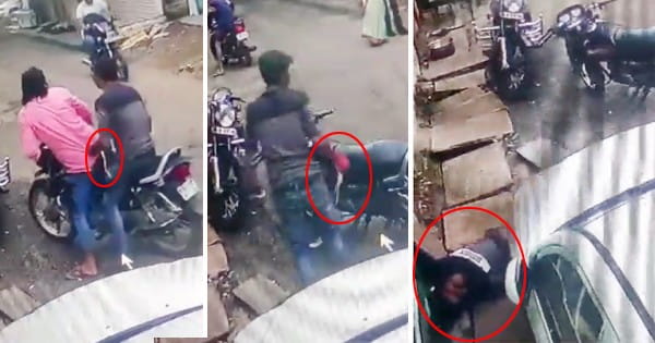 इंदौर : शिकारी बन गया शिकार... मौत का लाइव VIDEO आया सामने, सांप पकड़ने वाले युवक को ही सांप ने डंसा; देखें रोंगटे खड़े करने वाला ये VIDEO