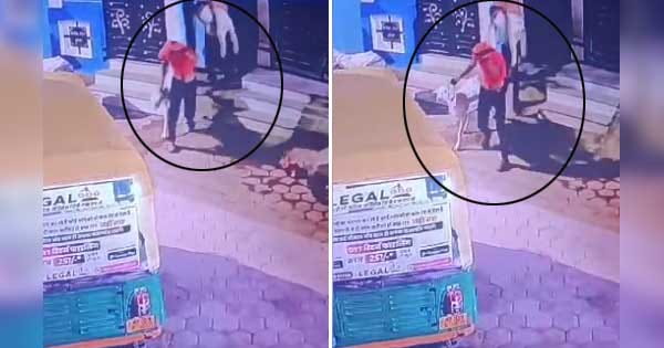 इंदौर : हैदराबादी नस्ल के 2 लाख के बकरे 20 सेकंड में चोरी, सीसीटीवी कैमरे में कैद हुए बकरा चोर; देखें VIDEO