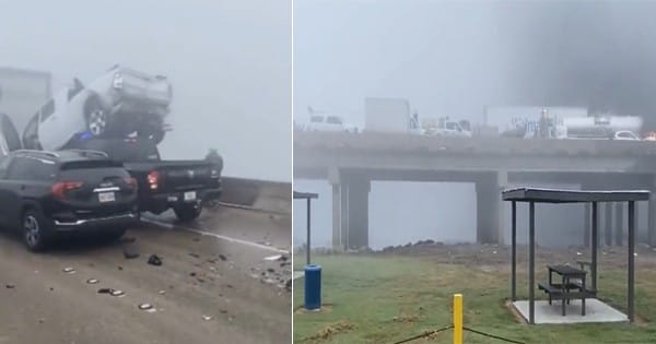 अमेरिका में 'सुपरफॉग' का कहर... 158 वाहन आपस में टकराए, 7 की मौत; 30 से ज्यादा घायल, देखें VIDEO