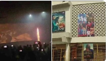 टाइगर-3 के शो में पटाखे फोड़ने के बाद सलमान का फैंस को संदेश, खुद के साथ दूसरों की जिंदगी खतरे में न डालें, भारत में पहले दिन कमाए 44 करोड़