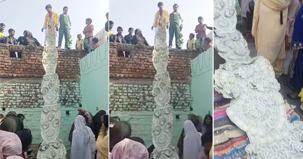 दूल्हे राजा का जलवा... 1-2 नहीं 20 लाख की माला पहन छत पर चढ़ा दूल्हा, लोग बोले- पहले घर की दीवार पर प्लास्टर तो करवा ले भाई