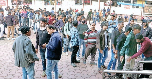 सैम बहादुर पर भारी पड़ी एनिमल, थिएटर में 90 फीसदी सीट्स रहीं बुक