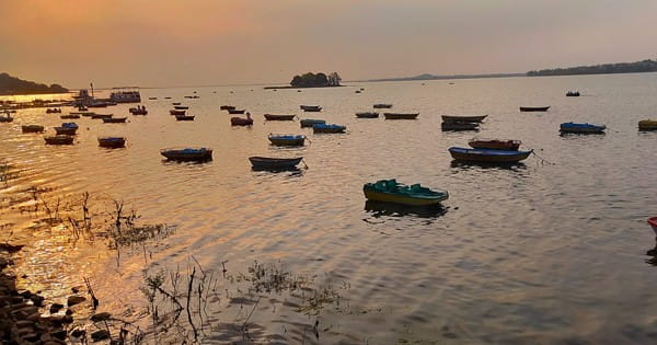 MP Weather Update : प्रदेश में शीतलहर से ठिठुरन बरकरार, इन जिलों में पड़ रही कड़ाके की ठंड