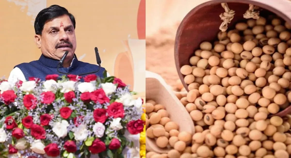 MP सरकार देगी 1,300 रुपए प्रति क्विंटल, CM यादव बोले- हम आपके साथ हैं...