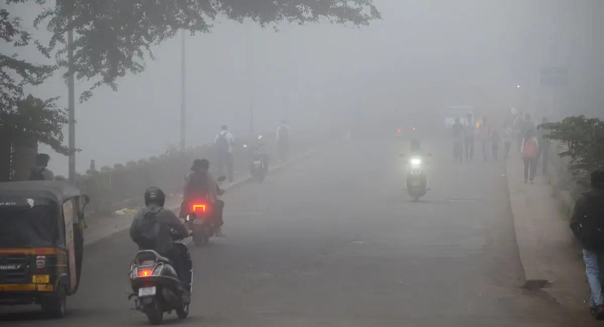 प्रदेश में कड़ाके की सर्दी, भोपाल-इंदौर में विजिबिलिटी सिर्फ 20 मीटर; 24 जिलों में स्कूल बंद