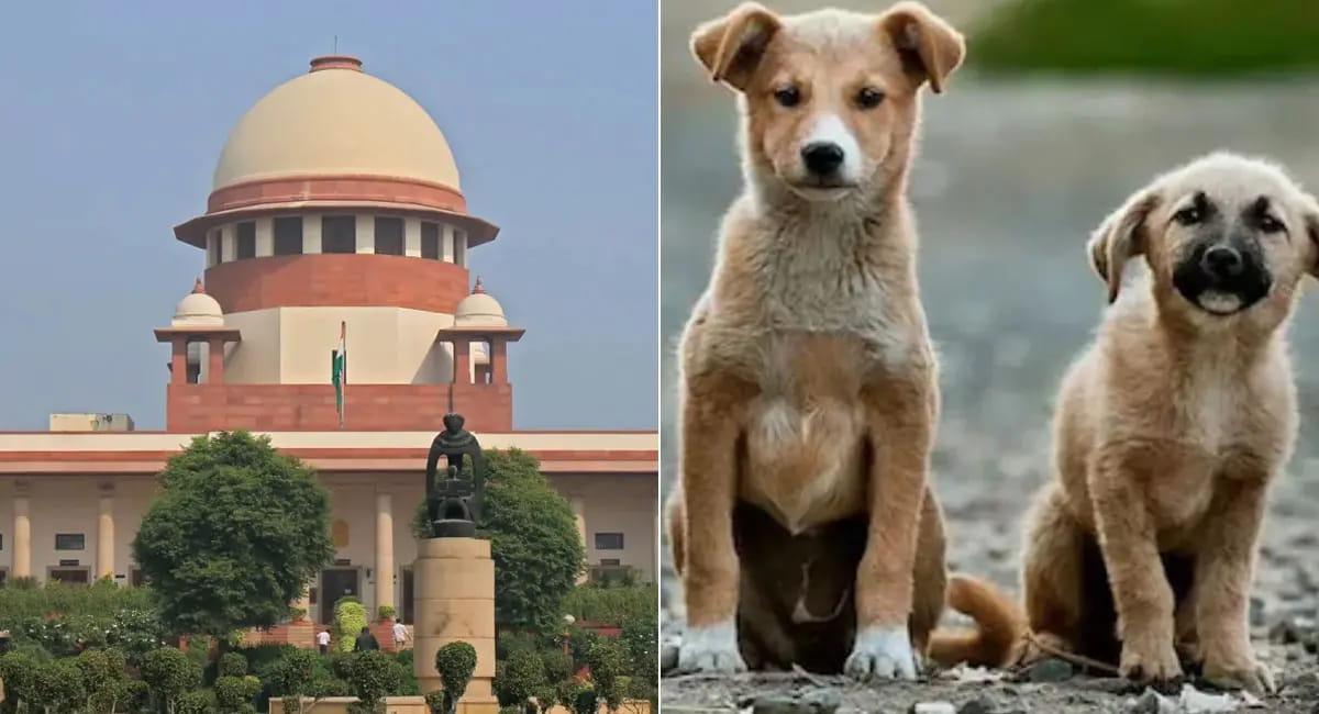सिंघवी बोले- नियम पहले से हैं, कोर्ट दखल न दे