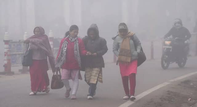 बारिश… कोहरा और ठंड का ट्रिपल अटैक, 8 जिलों में बारिश का अलर्ट; मावठा गिरने से बदला मौसम