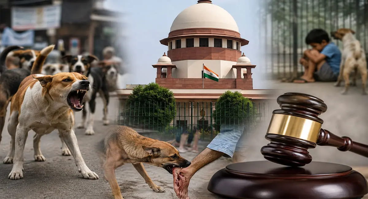 Stray Dogs पर सुप्रीम कोर्ट सख्त, बोला- लोगों की जान सबसे जरूरी
