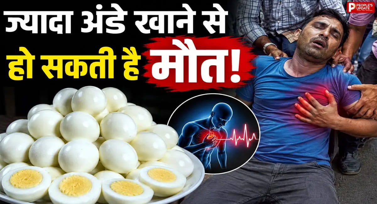 42वें Egg पर बिगड़ी तबीयत, जानिए एक साथ ज्यादा अंडे खाना कितना खतरनाक