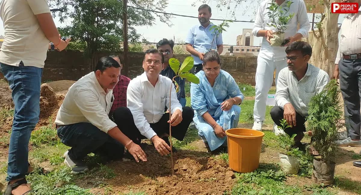 अपर कलेक्टर ने किया पौधारोपण, सब्जी मंडी शिफ्टिंग और चाट चौपाटी का भी लिया जायजा