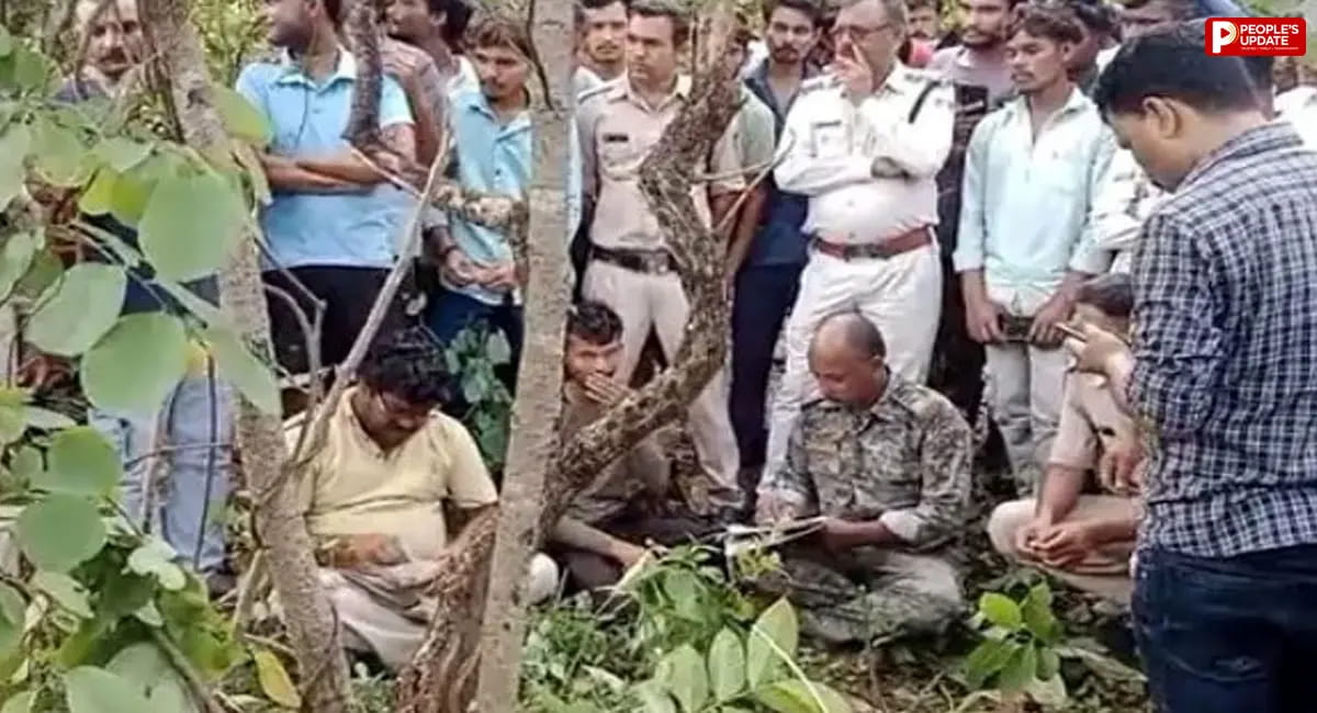 खैरलांजी के जंगल में बाघ का आतंक, किसान की मौत; गाय-बछड़े को भी बनाया शिकार