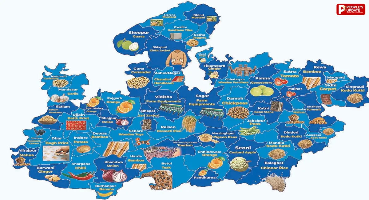मप्र में निवेश का पूरा पैकेज: 43 हजार एकड़ औद्योगिक जमीन, खनिज संपदा से लेकर हाईवे तक मजबूत आधार