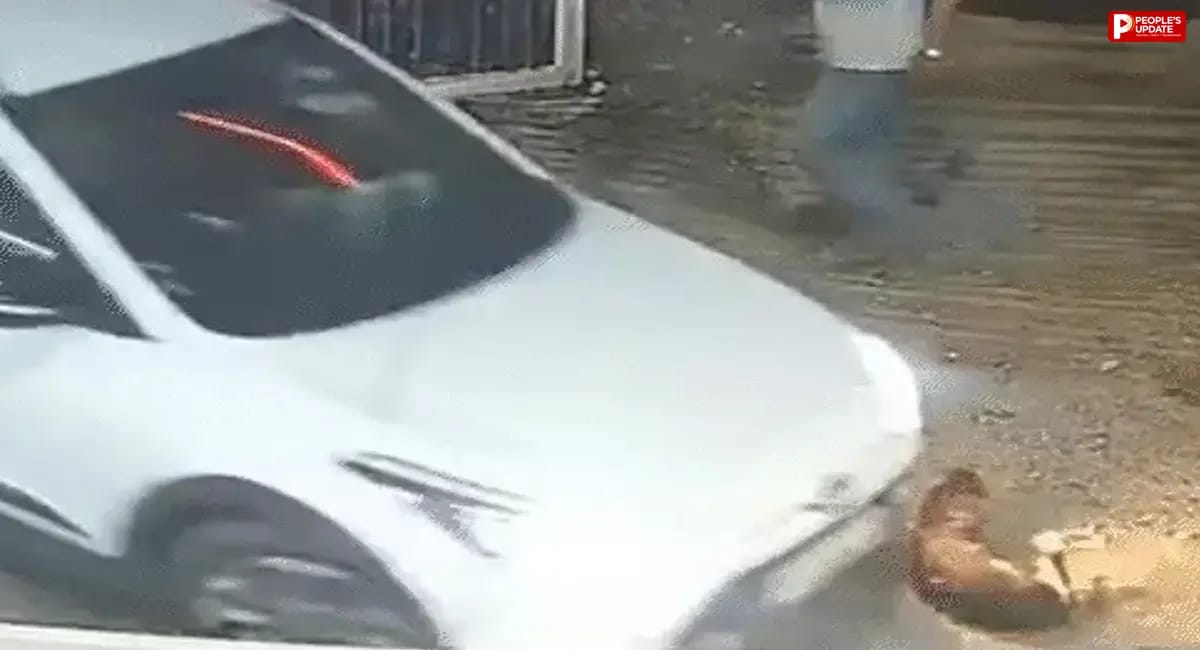 जबलपुर में डॉग को कार से कुचलने का आरोप, गुस्साए लोगों ने कार मालिक को पीटा
