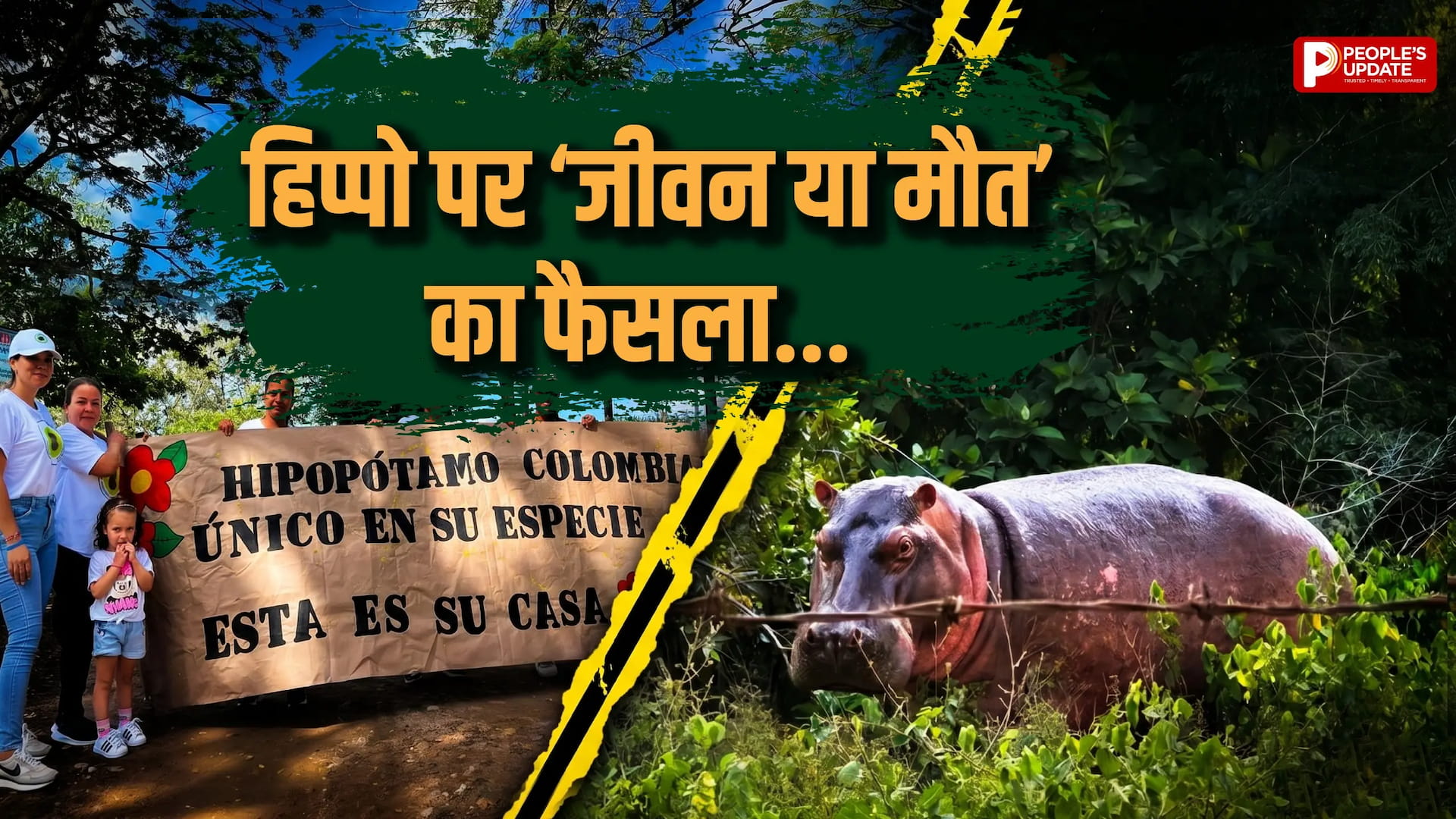 अनंत अंबानी बने उम्मीद की किरण, बोले- हिप्पो को मारो मत, भारत भेजो