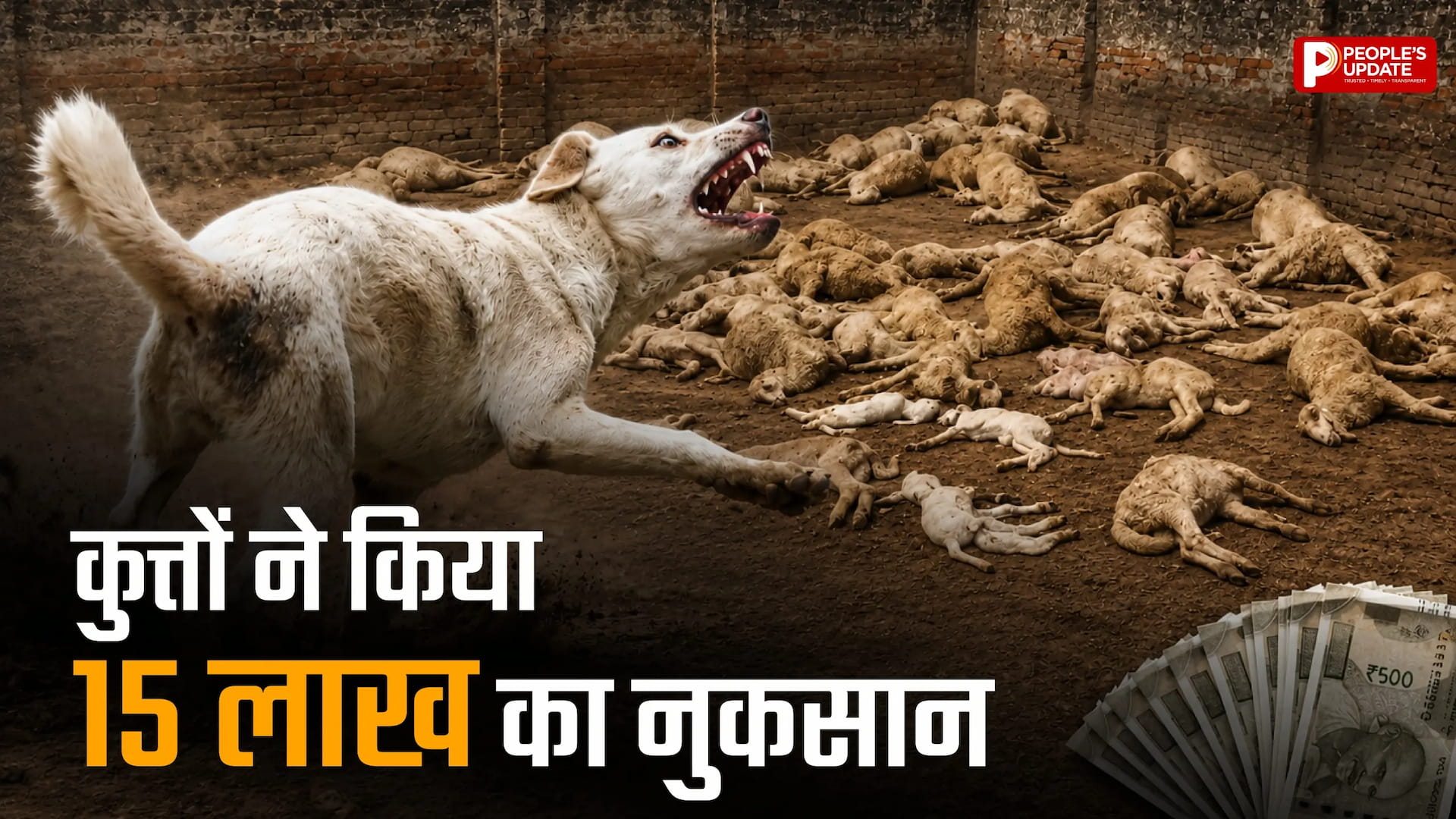 आवारा कुत्तों का आतंक,110 भेड़ों को नोच खाया, मालिक ने बताया- 15 लाख का नुकसान