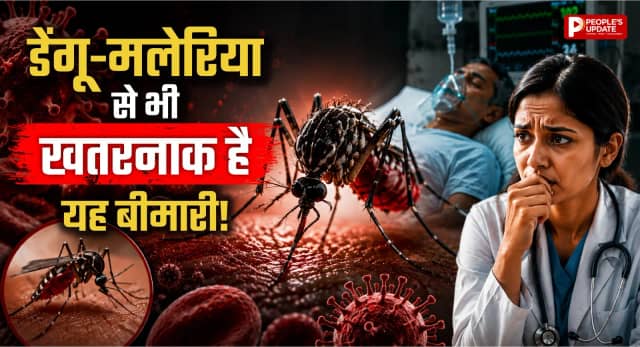 डेंगू-मलेरिया से भी खतरनाक हो सकता है यह वायरस! मच्छर के काटते ही दिमाग पर करता है हमला