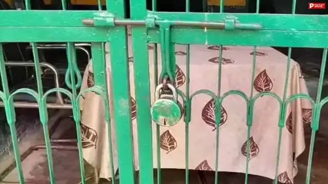 मंडला में आवारा कुत्तों का आतंक: एक दिन में 25 लोगों को काटा, बच्चों की सुरक्षा के लिए स्कूल और आंगनबाड़ी बंद