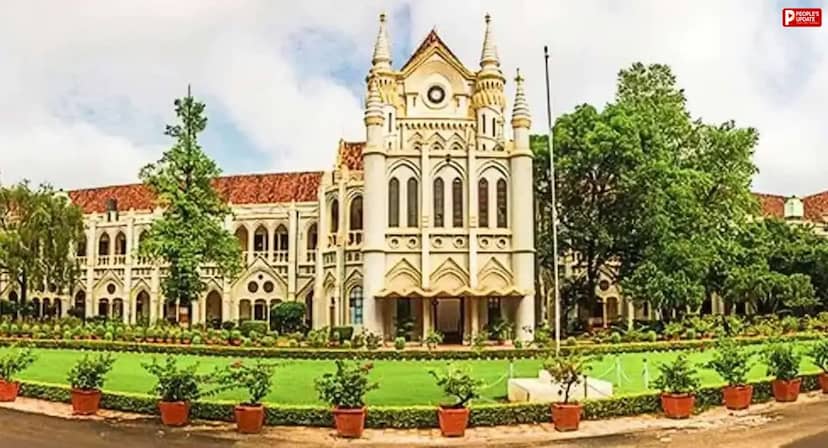 फॉरेक्स ट्रेडिंग में मुनाफे के नाम पर ठगी, आरोपी को हाईकोर्ट से झटका; जमानत याचिका खारिज