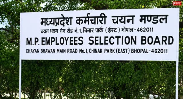 मध्यप्रदेश वन रक्षक और जेल प्रहरी परीक्षा का रिजल्ट जारी, 14,950 उम्मीदवार दूसरे चरण के लिए चयनित
