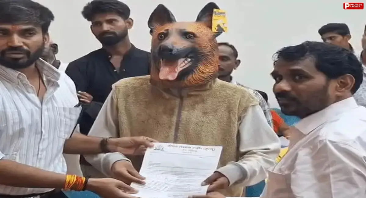 खंडवा में आवारा कुत्तों के आतंक से मिलेगी मुक्ति, नगर निगम ने नसबंदी के लिए निकाला टेंडर