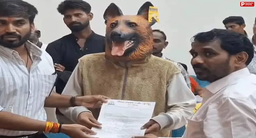 खंडवा में आवारा कुत्तों के आतंक से मिलेगी मुक्ति, नगर निगम ने नसबंदी के लिए निकाला टेंडर