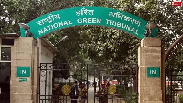 भोपाल के बड़े तालाब में सिंघाड़े की खेती पर NGT सख्त, पानी की नियमित जांच के निर्देश