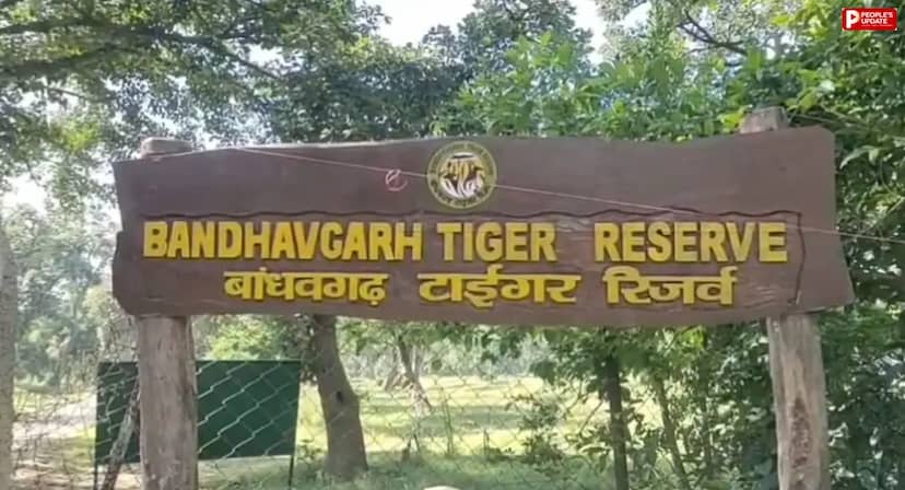 उमरिया: बांधवगढ़ में जन्माष्टमी मेले की तैयारी पूरी, ऑनलाइन रजिस्ट्रेशन के बाद ही मिलेगा प्रवेश