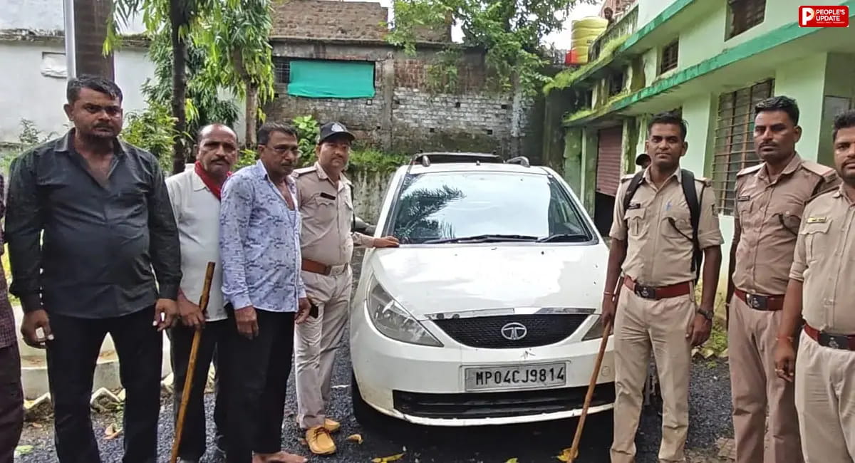 बाड़ी में वन विभाग की बड़ी कार्रवाई, 20 नग सागौन लकड़ी जब्त; आरोपी फरार