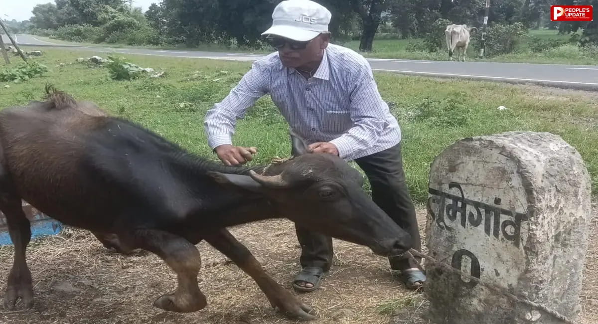 42 साल की सरकारी सेवा के बाद भी जारी है पशु सेवा, सेवानिवृत्ति के बाद घर-घर पहुंचकर कर रहे इलाज