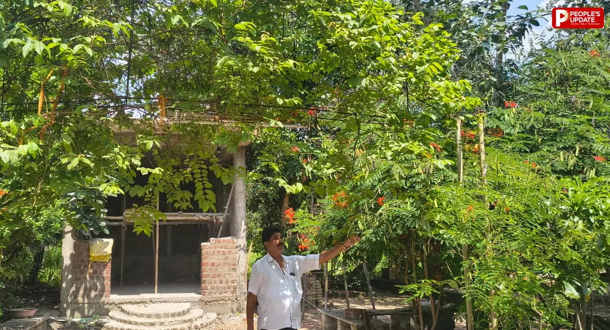 सीहोर के राजेंद्र ने 17 साल में मुक्तिधाम को बनाया हराभरा उपवन, मृत्युभोज की जगह मुक्तिधाम को दिए एक लाख रुपए