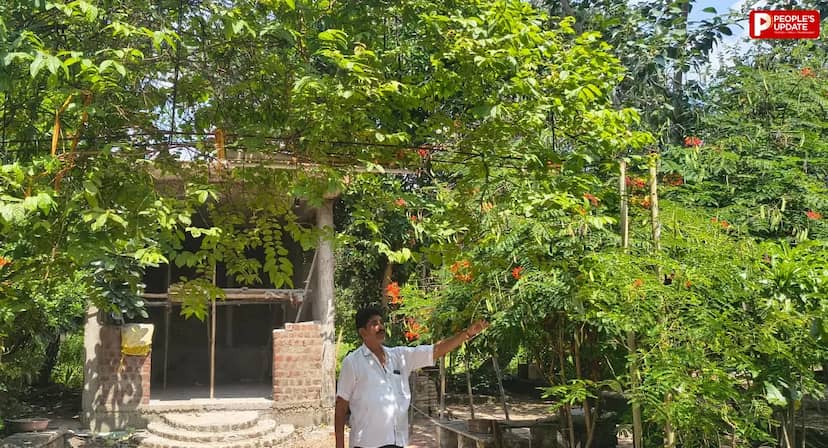 सीहोर के राजेंद्र ने 17 साल में मुक्तिधाम को बनाया हराभरा उपवन, मृत्युभोज की जगह मुक्तिधाम को दिए एक लाख रुपए
