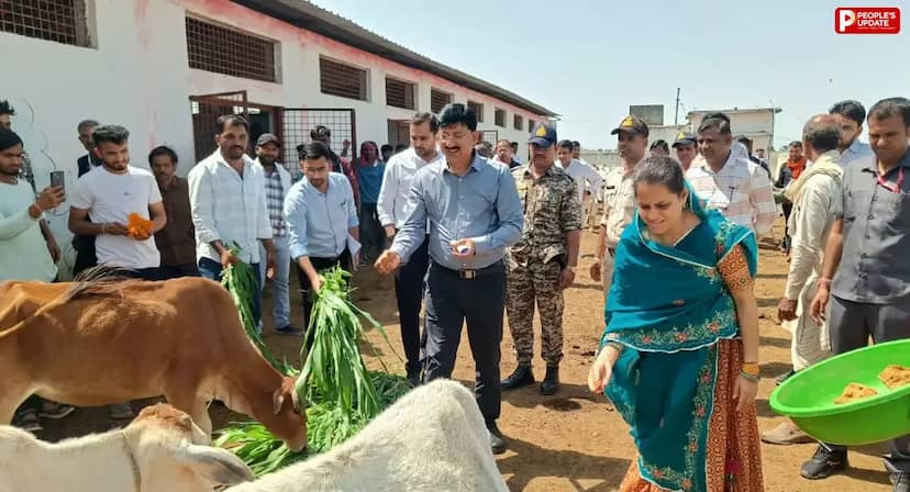 गुना में कलेक्टर ने गौशाला, स्कूल और पीडीएस दुकान का किया निरीक्षण, व्यवस्थाओं में सुधार के दिए निर्देश
