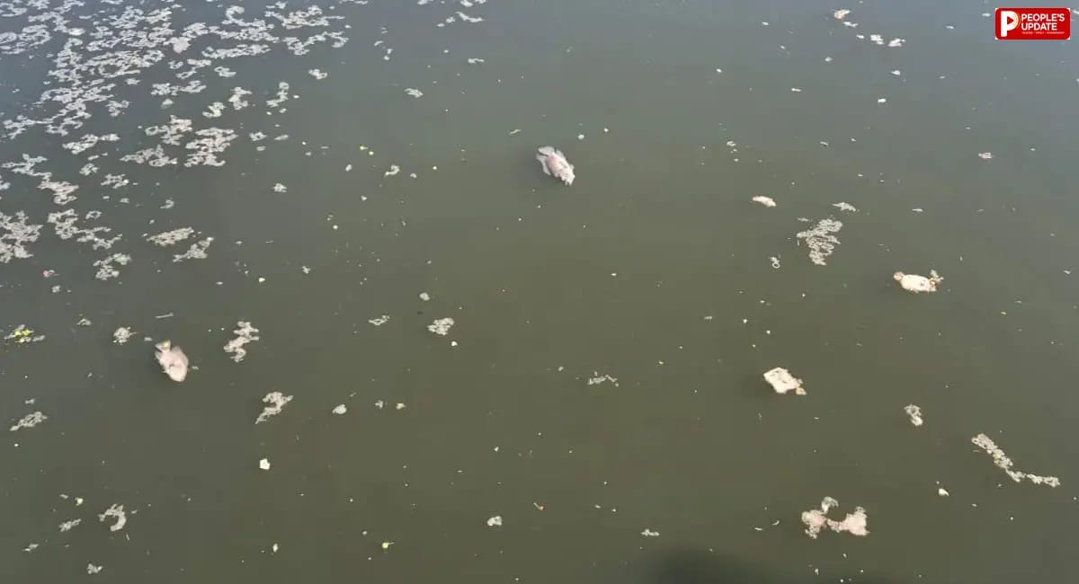 भोपाल के मालीखेड़ी विसर्जन कुंड में सीवेज का पानी मिलने का आरोप, 25 करोड़ की योजना पर उठे सवाल