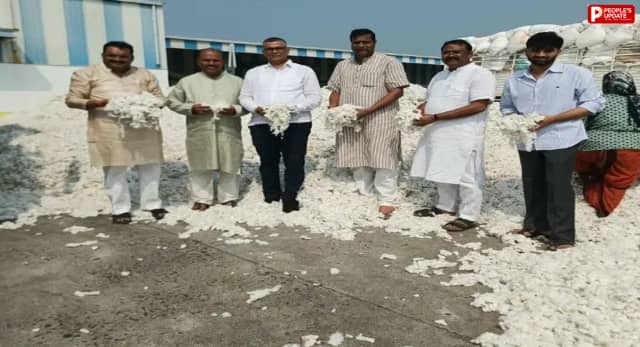 छिंदवाड़ा: सौसर में कपास की आवक शुरू, 9101 रुपए प्रति क्विंटल मिला भाव