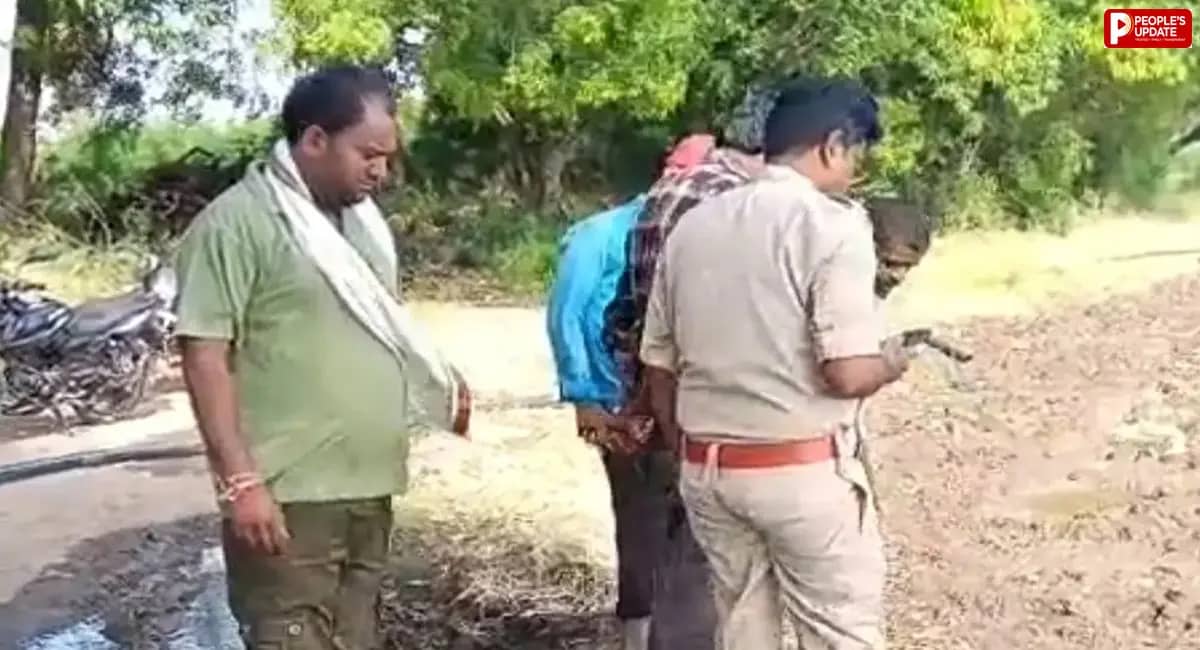 सीहोर में जंगली जानवर का आतंक, गाय का शिकार; ग्रामीणों में दहशत