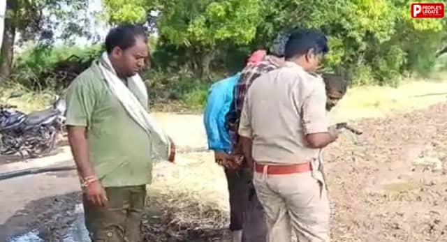 सीहोर में जंगली जानवर का आतंक, गाय का शिकार; ग्रामीणों में दहशत