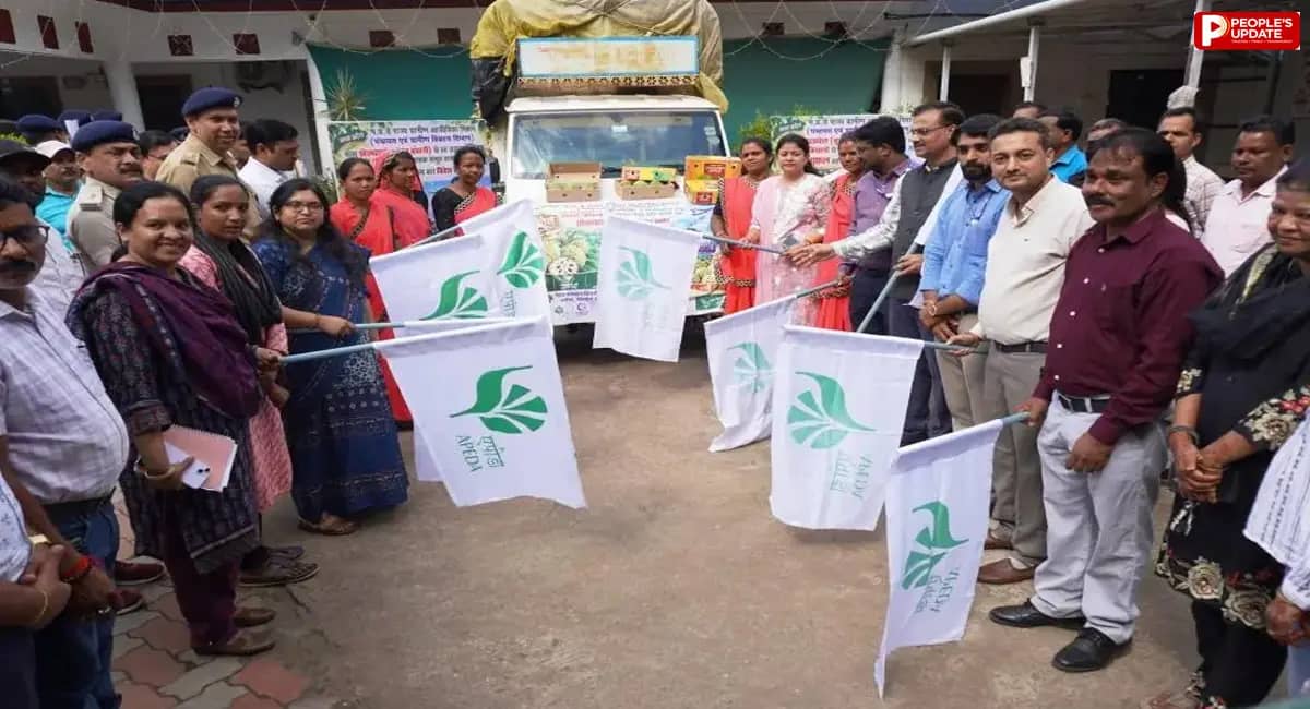 सिवनी के जंबो सीताफल की विदेशों में बढ़ी मांग, 1.25 टन की पहली खेप दुबई रवाना
